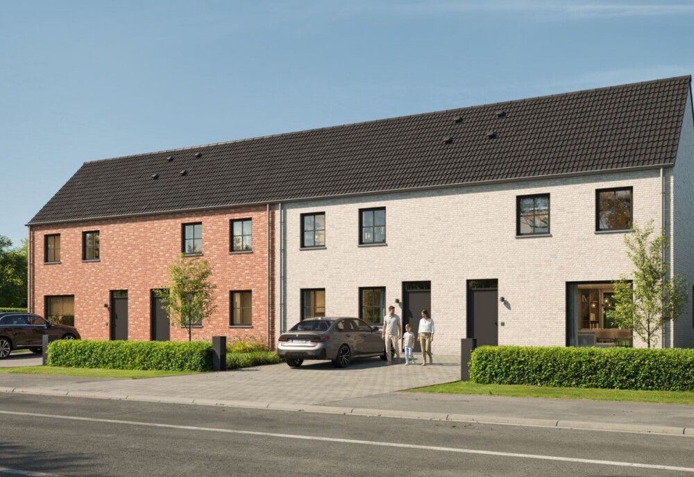 Steenweg Opwijk 3 D landscape